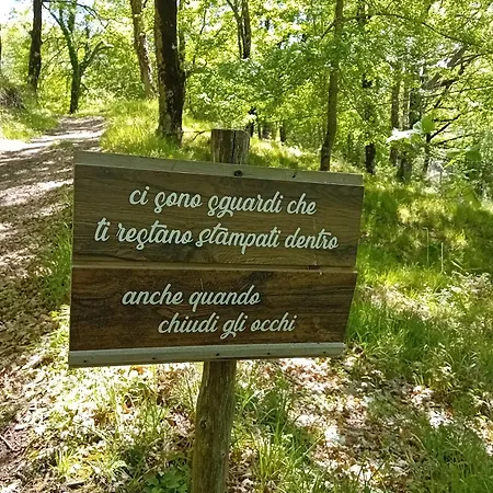Casa Vacanza B&B P&G Laino Castello