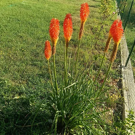 Casa P&g * Laino Castello