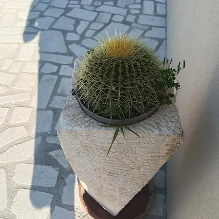 Casa P&g אכסניה Laino Castello