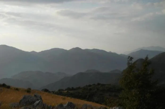 Casa P&g Alojamento de Turismo Selvagem *