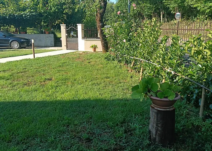 Alojamento de Turismo Selvagem Casa P&g