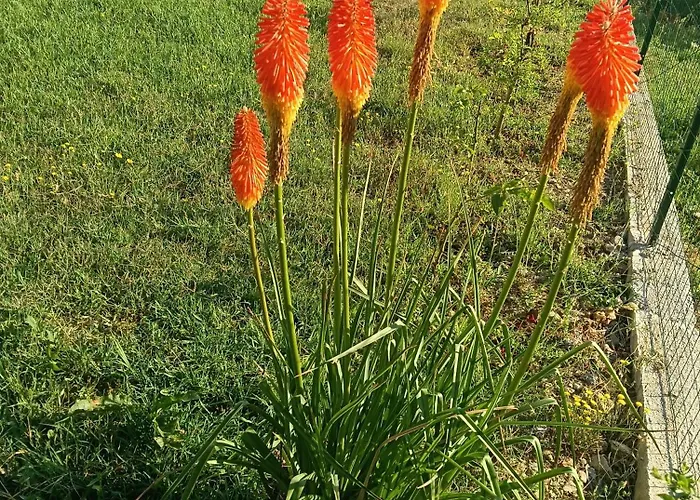 Casa P&g * Laino Castello