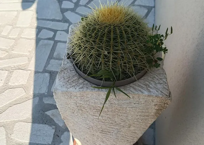 Casa P&g Alojamento de Turismo Selvagem Laino Castello